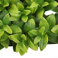 5" Boxwood Leaf Mat by Ashland®