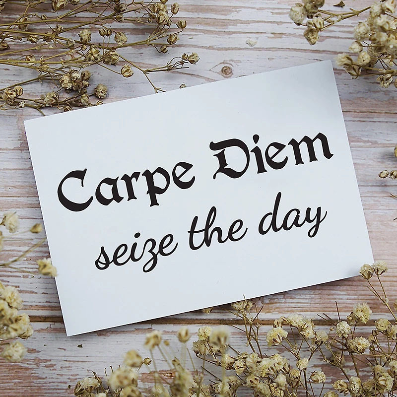 Leisure Arts® Vinyl Carpe Diem Seize The Day Black Wall Decal