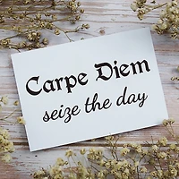 Leisure Arts® Vinyl Carpe Diem Seize The Day Black Wall Decal