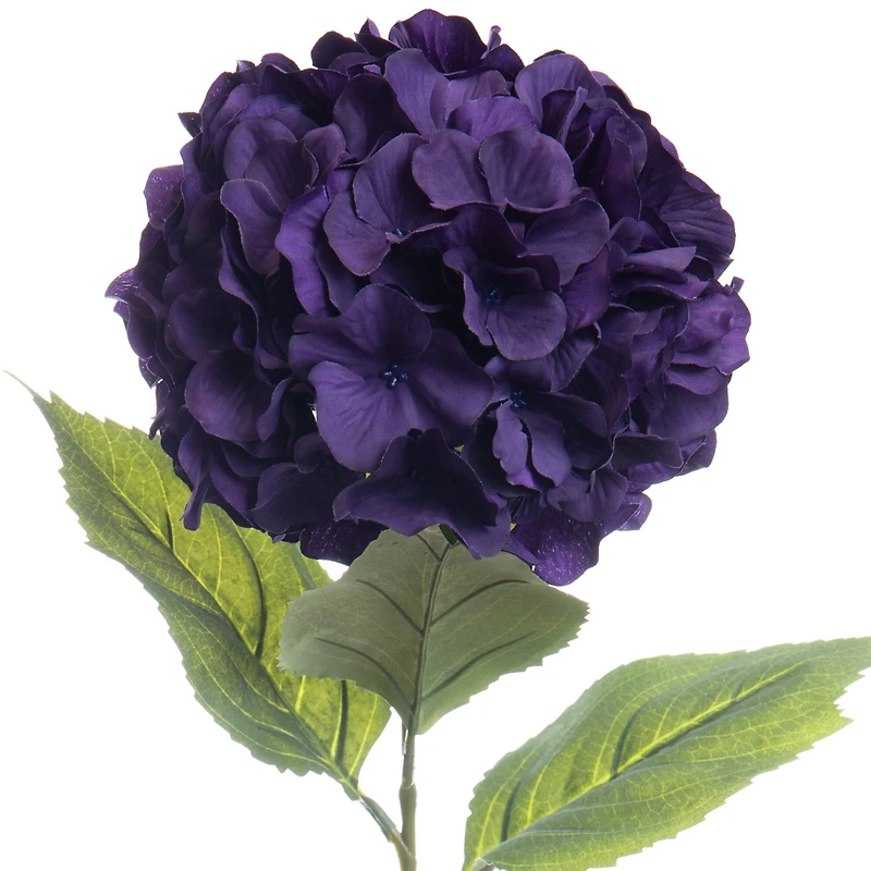 Purple-Blue Hydrangea Stem by Ashland®