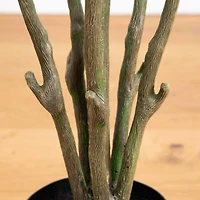 6ft. Orange Autumn Oyama Magnolia Artificial Potted Tree