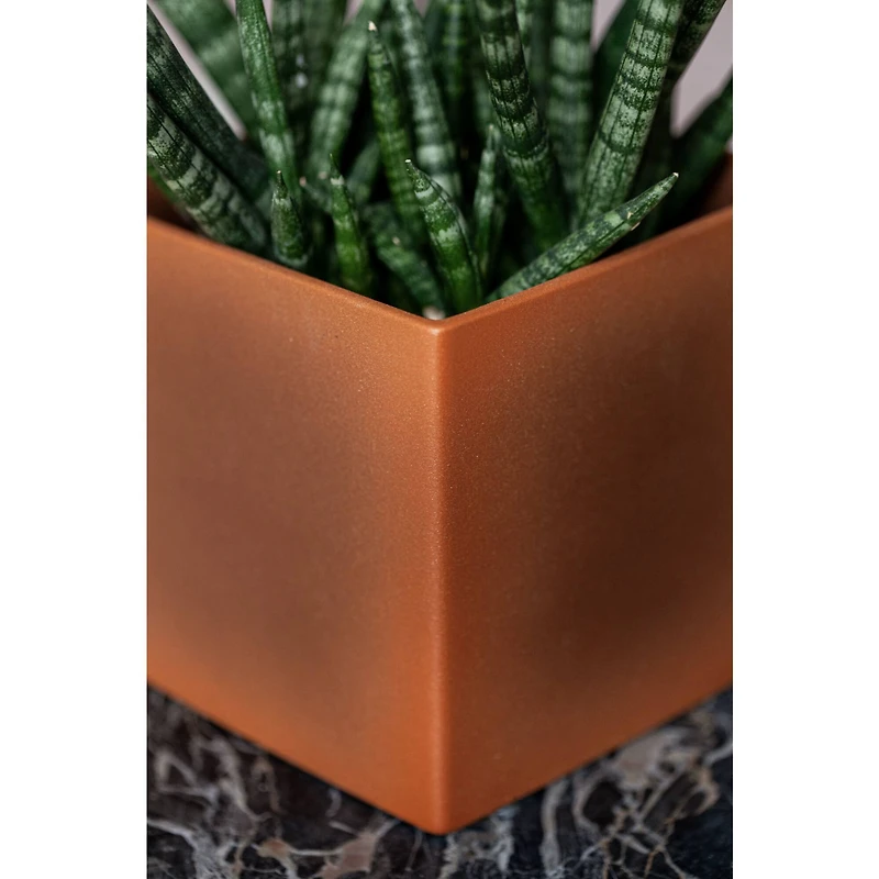 Montana™ Cans Rust Orange Brown EFFECT Rust Spray