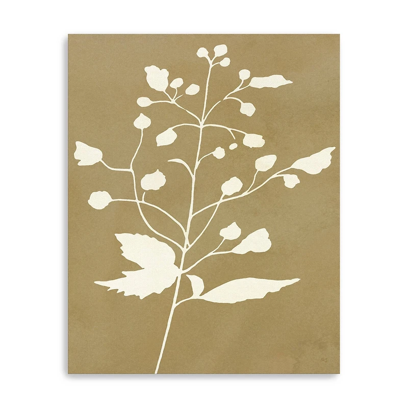 Honey Botanical II Canvas Giclee