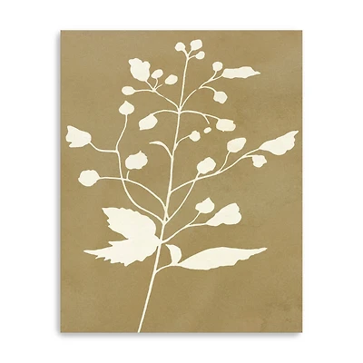 Honey Botanical II Canvas Giclee