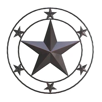 Texas Star Wall Décor