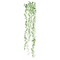 RoomMates String Of Pearls Vine Peel & Stick Wall Decals