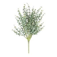 Eucalyptus Bush by Ashland®