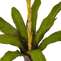 23" Tropical Bromeliad Artificial Flower (Set of 3)