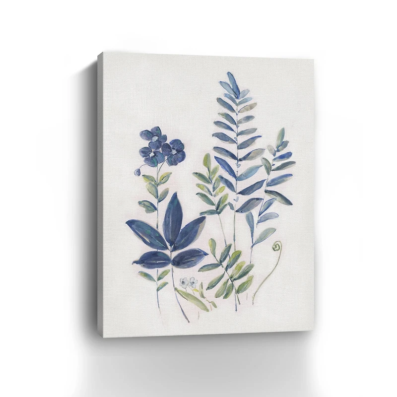 Fern Study I Canvas Giclee