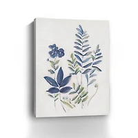 Fern Study I Canvas Giclee