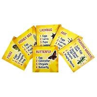 Insect Lore Life Cycle Figurine 24 Piece Set