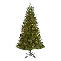 6ft. Pre-Lit Mount Hood Spruce Artificial Christmas Tree, Warm White LED Lights