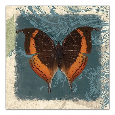 Swirls And Butterfly 20" x 20" Canvas Wall Art