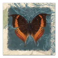 Swirls And Butterfly 20" x 20" Canvas Wall Art