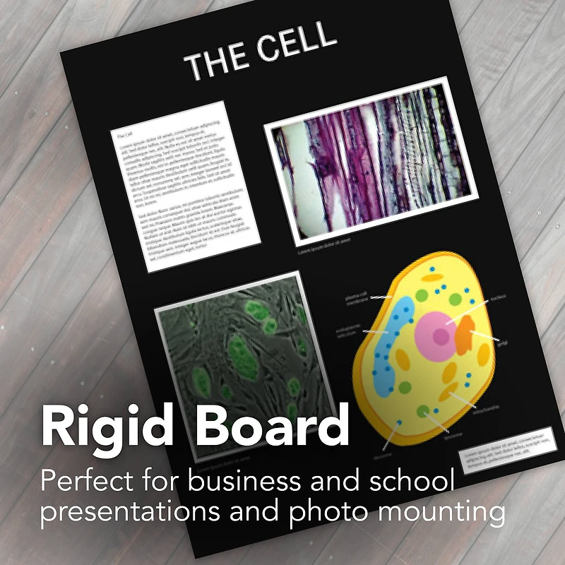 Strathmore® 400 Series Black Presentation Board, 20" x 30"