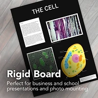 Strathmore® 400 Series Black Presentation Board, 20" x 30"