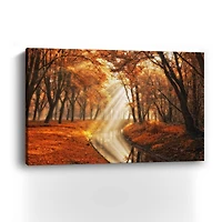 Little Black Duck Canvas Giclee