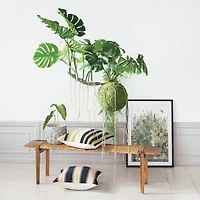 Hello Honey® 25" x 35.5" Botanical Serenity Fern Wall Art