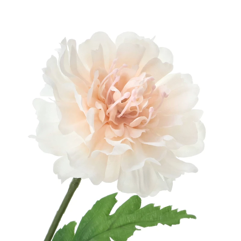 25" Light Pink Scabiosa Stem by Ashland®