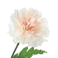 25" Light Pink Scabiosa Stem by Ashland®