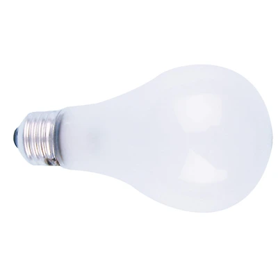 Speedball® Photo Emulsion Flood Bulb