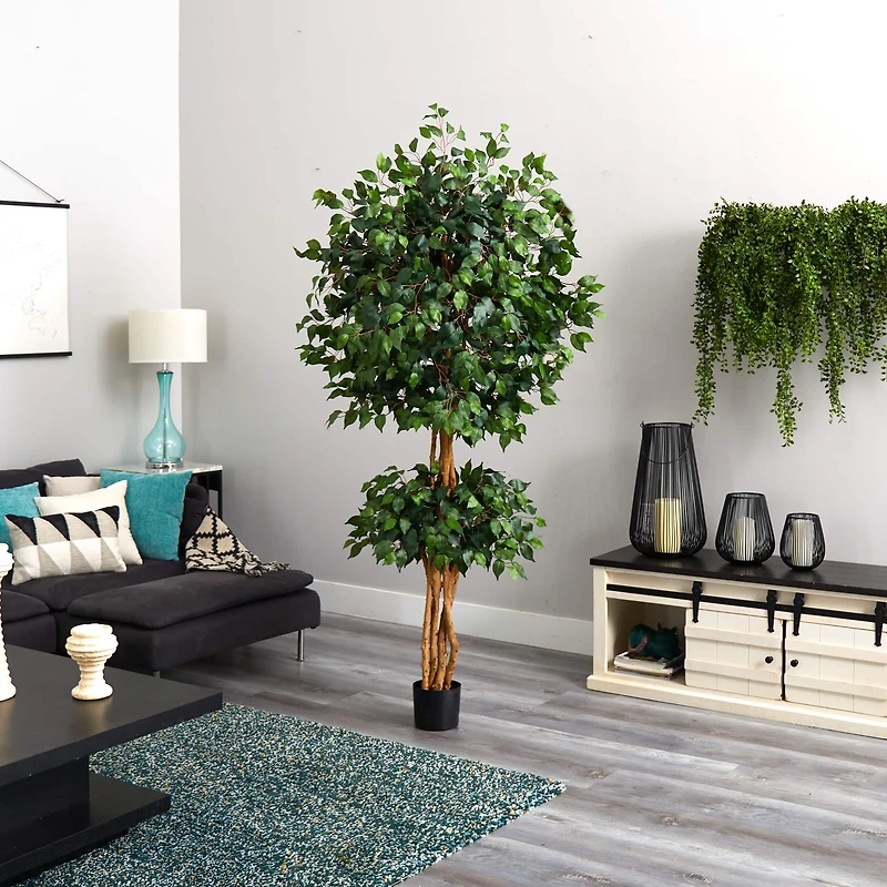6ft. Potted Double Ball Ficus Silk Tree