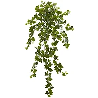 Curly Ivy Hanging Plant, 3ct.