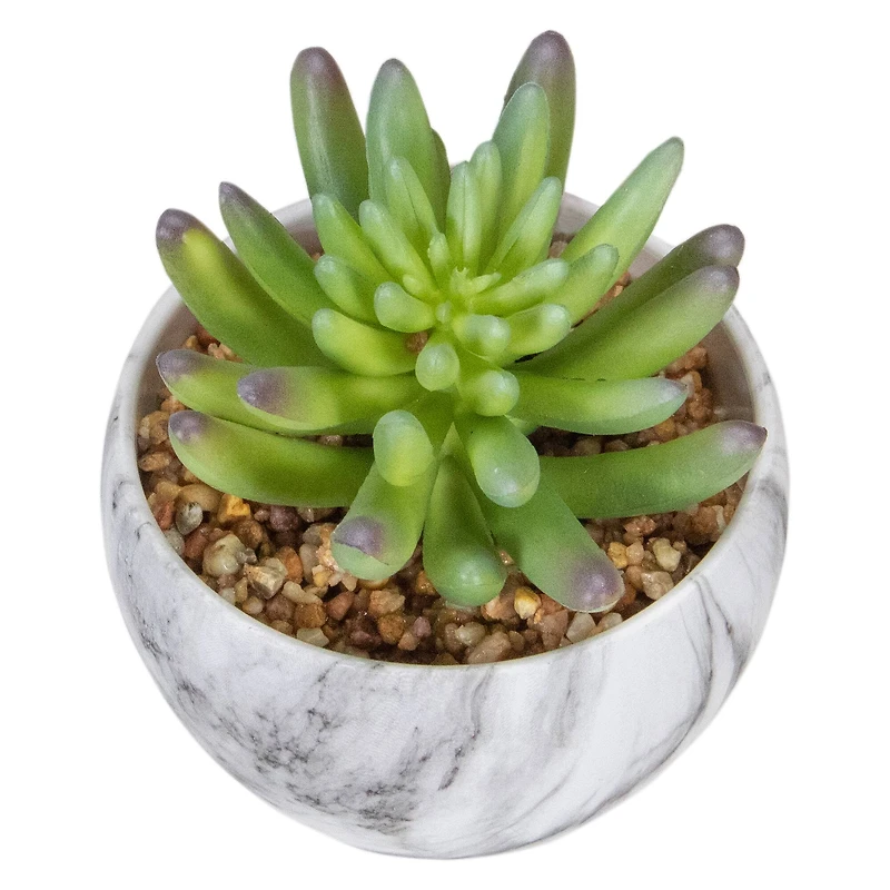 4.25" Green Succulent in Faux Marble Pot