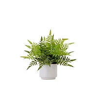 13" Artificial Boston Fern Plant with Decorative Planter 