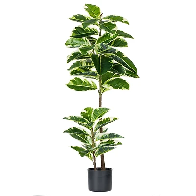 4ft. Potted Artificial Dumb Cane Tree