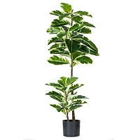 4ft. Potted Artificial Dumb Cane Tree