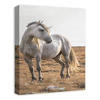 Horse In The Pasture 16" x 20" Canvas Wall Art