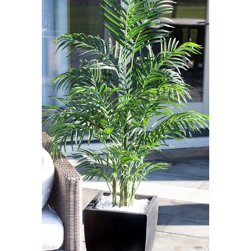 4.5ft. UV Resistant Areca Palm Tree with Black Wash Planter