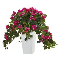 23" Bougainvillea in White Tower Planter