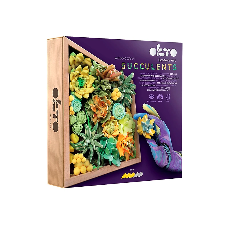 OKTO DIY Wood & Craft Energy Succulents Clay Kit