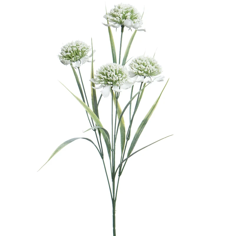 26.5" White & Green Allium Stem by Ashland®