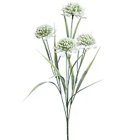 26.5" White & Green Allium Stem by Ashland®