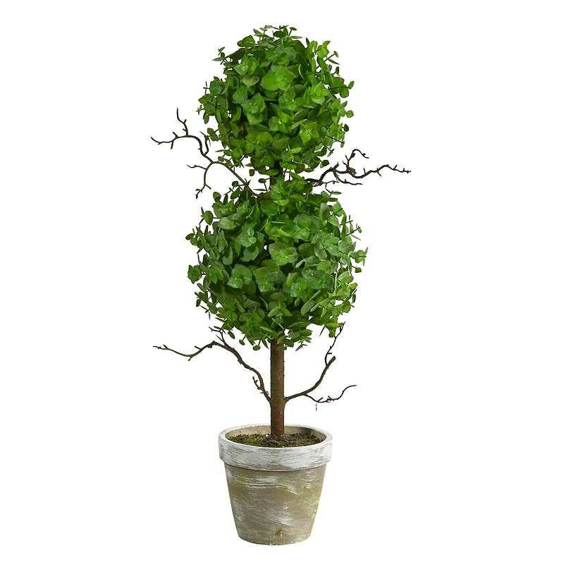 24" Potted Eucalyptus Double Ball Topiary Tree