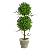 24" Potted Eucalyptus Double Ball Topiary Tree