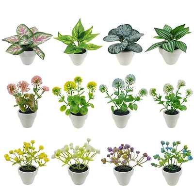 Assorted Micro Plant, 1pc. by Ashland®