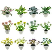 Assorted Micro Plant, 1pc. by Ashland®