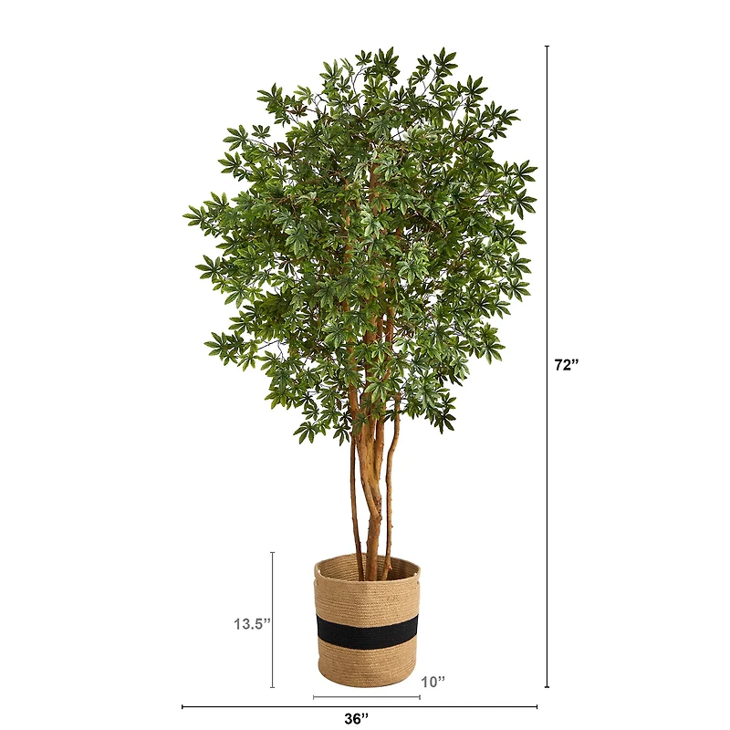 6ft. Japanese Maple Artificial Tree in Handmade Natural Cotton Planter