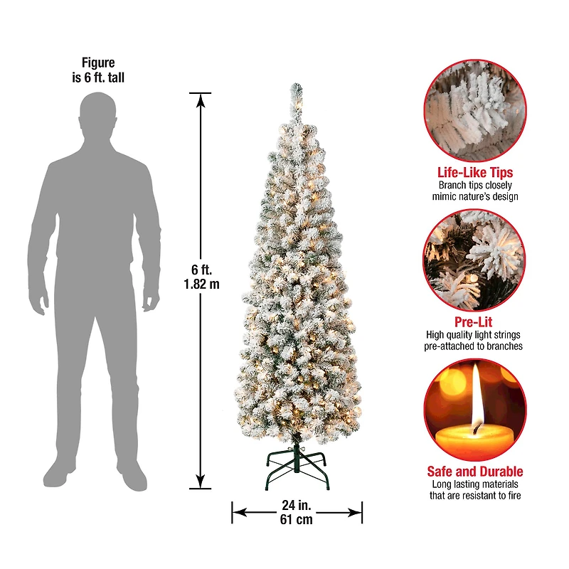 6ft. Pre-Lit Flocked Acacia Pencil Artificial Christmas Tree, Clear Lights