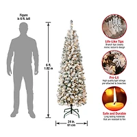 6ft. Pre-Lit Flocked Acacia Pencil Artificial Christmas Tree, Clear Lights