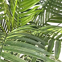 6ft. Potted Green Areca Palm Tree by Ashland®