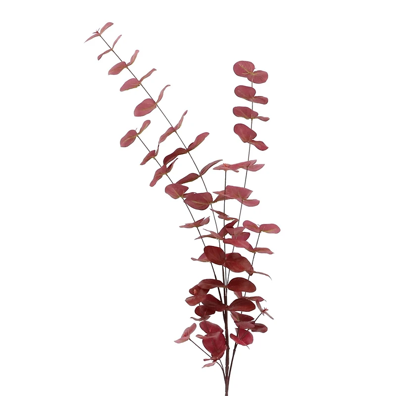 Tall Burgundy Eucalyptus Stem by Ashland®
