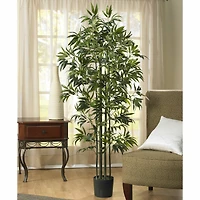 6ft. Potted Bamboo Silk Tree