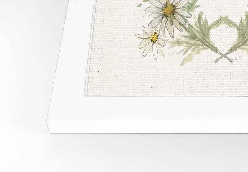 Floral Insect 16" x 20" White Framed Print Under Plexiglass