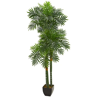 5.5ft. Potted Triple Stalk Areca Palm Tree