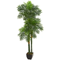 5.5ft. Potted Triple Stalk Areca Palm Tree